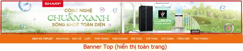 Dịch vụ cho thuê banner trang chủ