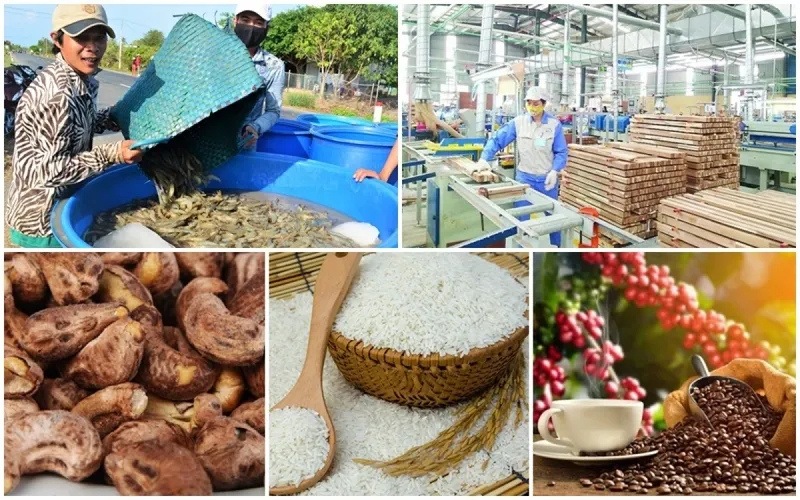Phân loại sản phẩm đặc trưng Gia Lai